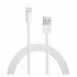 Nettech NT-DC09 2.4A Plastik 200 Cm Lightning Şarj ve Data Kablosu (Beyaz)