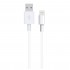 Nettech NT-20 Plastik 100 Cm Lightning Şarj ve Data Kablosu (Beyaz)