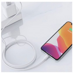 Nettech NT-20 Plastik 100 Cm Lightning Şarj ve Data Kablosu (Beyaz)