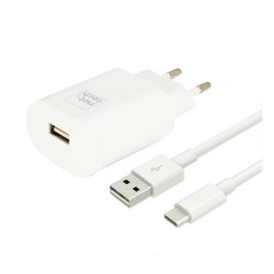 Nettech NT-HCH02 10W Type-C Kablo + Şarj Aleti (Beyaz)