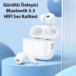 Hoco EW47 TWS Kulak İçi Bluetooth Kulaklık (Beyaz)