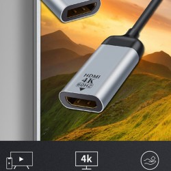 4K HDMI to Type-C Dönüştürücü Adaptör 60Hz 20CM (Gümüş)