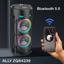 ZQS4239 Mikrofonlu Taşınabilir Dev Speaker Led Işıklı Bluetooth Hoparlör (Siyah)