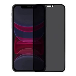 iPhone 11 / XR Kolay Uygulama Aparatlı Dust Proof Privacy Temperli Hayalet Cam Ekran Koruyucu (Siyah)