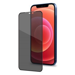 iPhone 12 / 12 Pro Uyumlu Privacy Ön Koruma Temperli Hayalet Cam Ekran Koruyucu (Siyah)