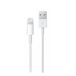 Apple MD818ZM/A Plastik 100 Cm Lightning Şarj ve Data Kablosu (Beyaz)
