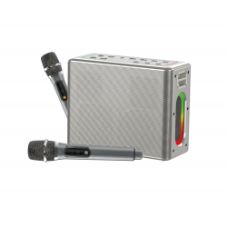 Nettech NT-BTS07 300W Bluetooth Hoparlör | 2 Mikrofonlu Karaoke Seti